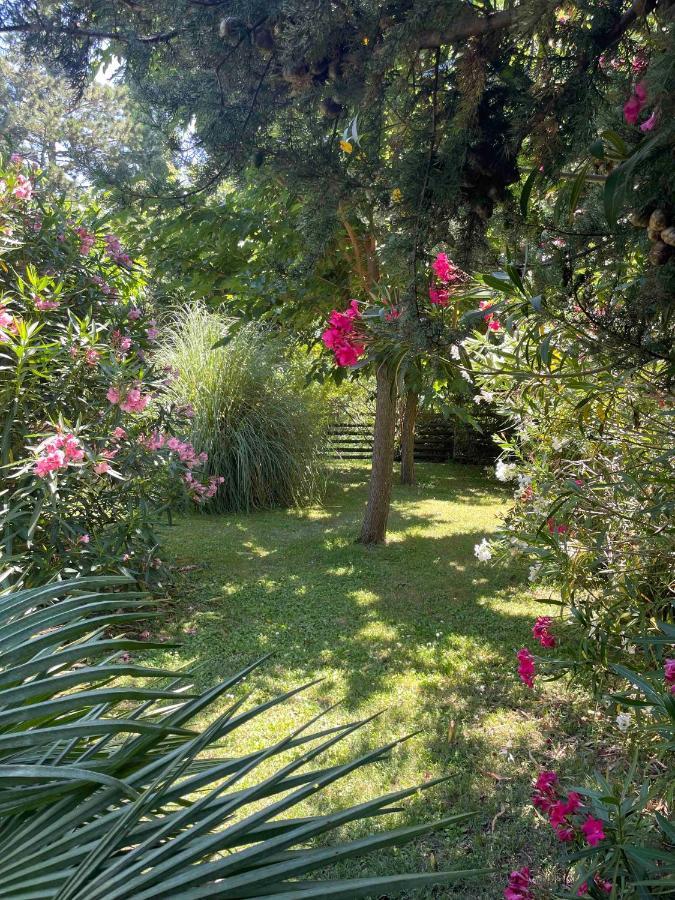 Gites Au Chateau Des Estubiers Les Granges-Gontardes Екстер'єр фото